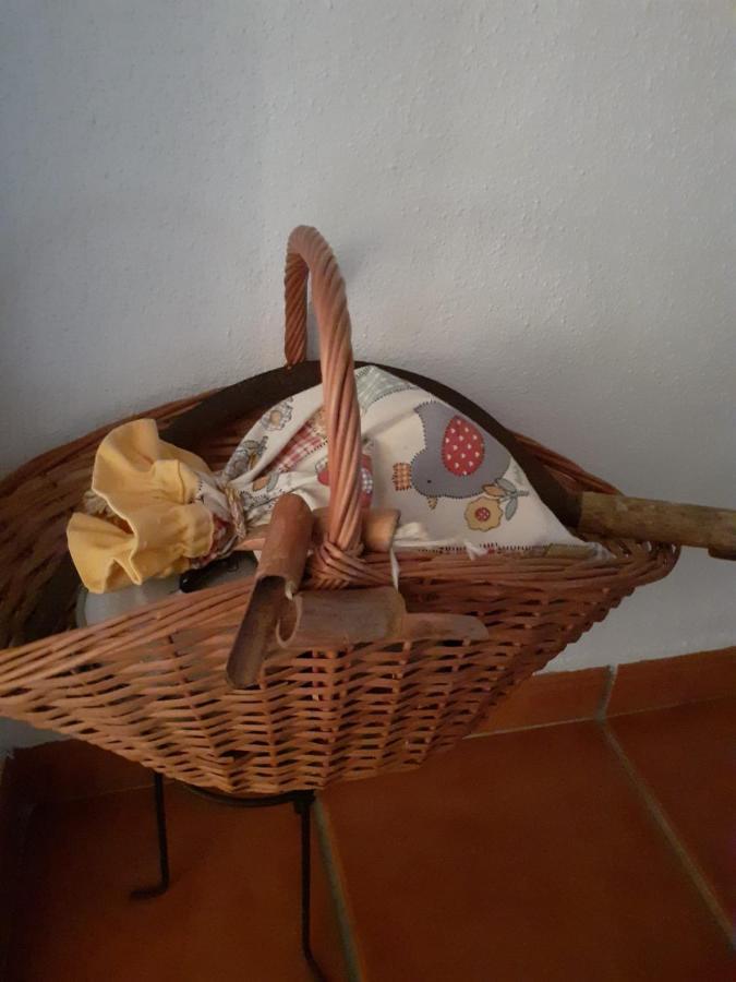 Casa Dos Avos Βίλα Alcaria da Serra Εξωτερικό φωτογραφία