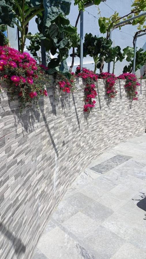 Casa Dos Avos Βίλα Alcaria da Serra Εξωτερικό φωτογραφία