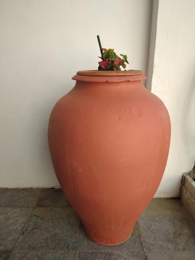 Casa Dos Avos Βίλα Alcaria da Serra Εξωτερικό φωτογραφία